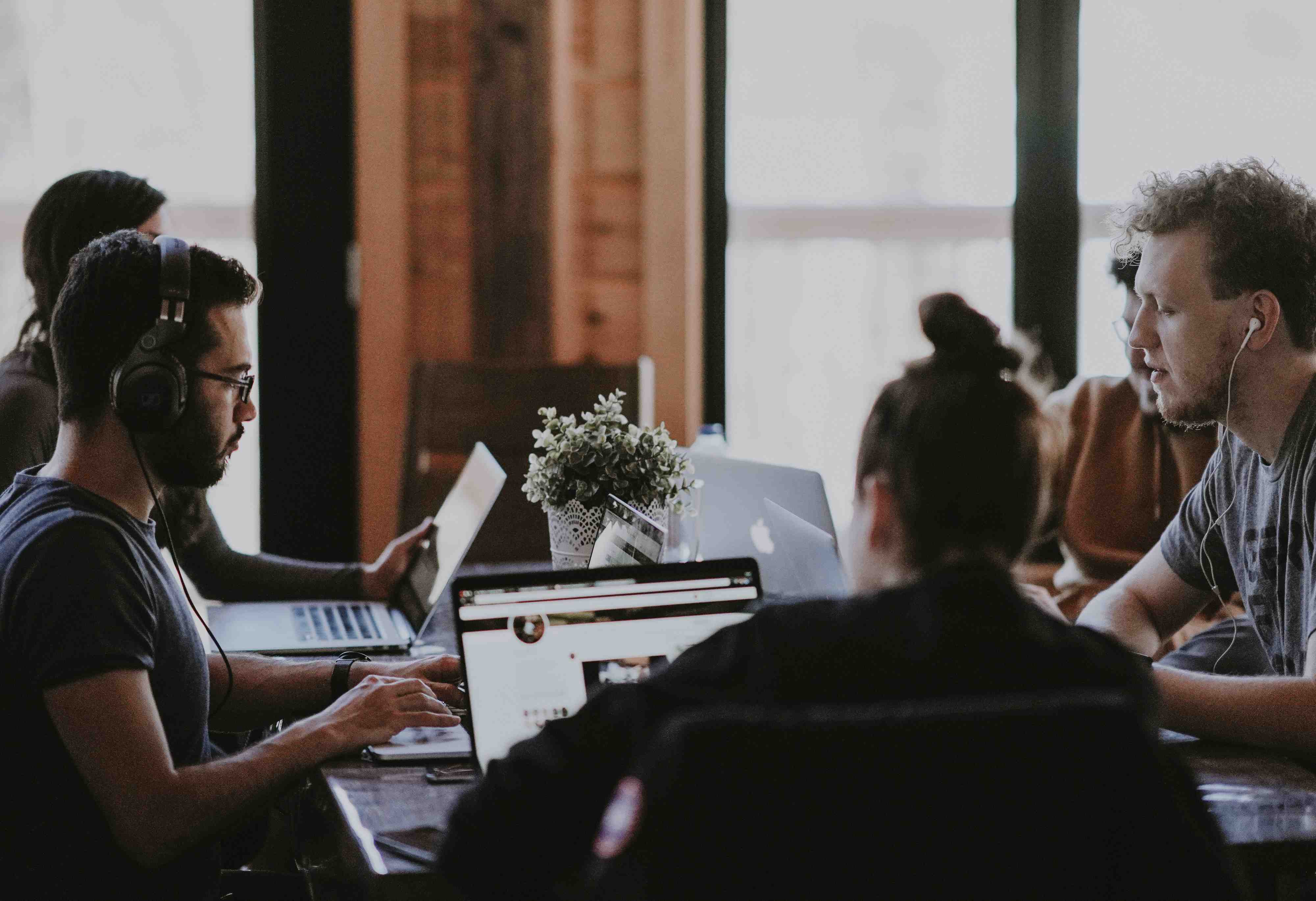 group of people on laptops