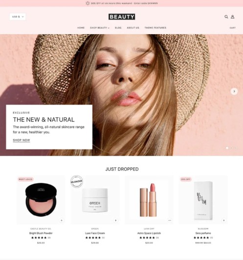 Best Shopify Themes