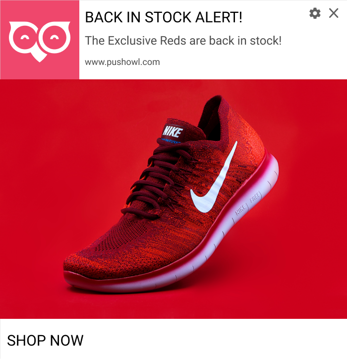 nike shopify store