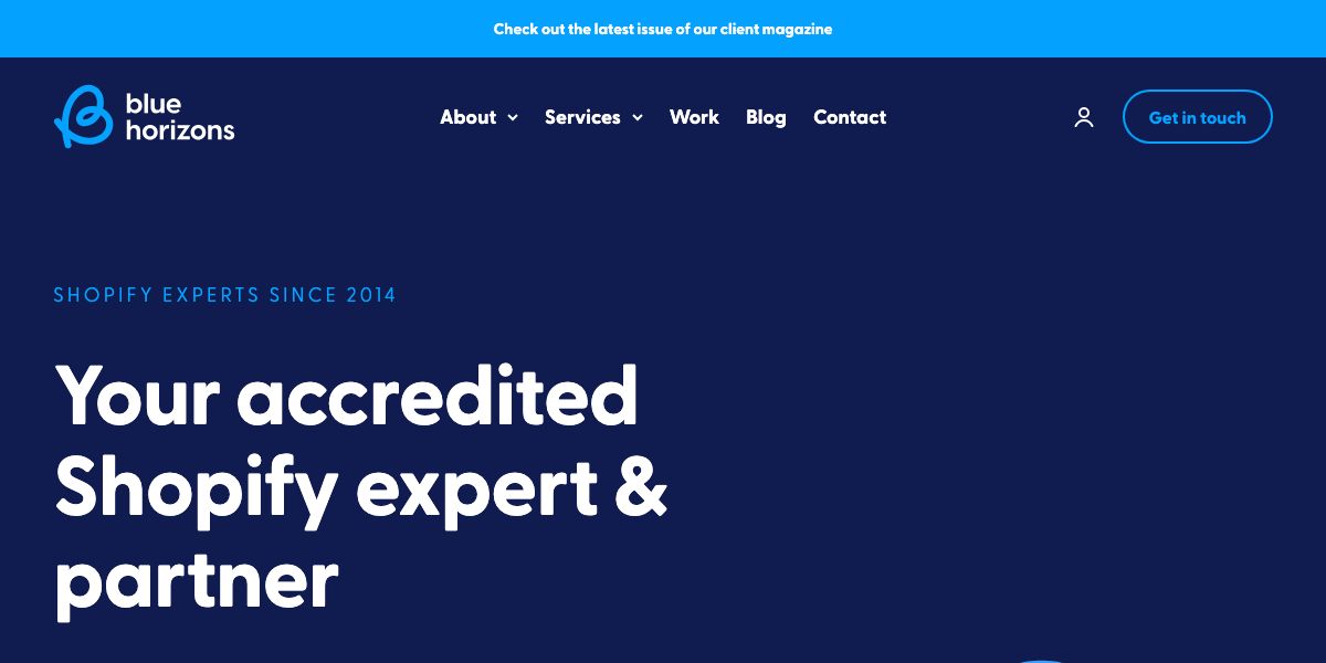 Blue Horizons website homepage