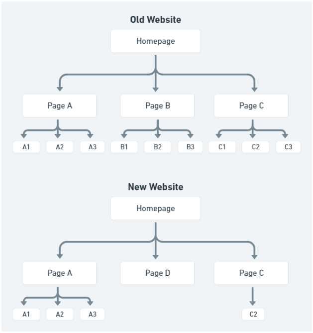 information architecture website