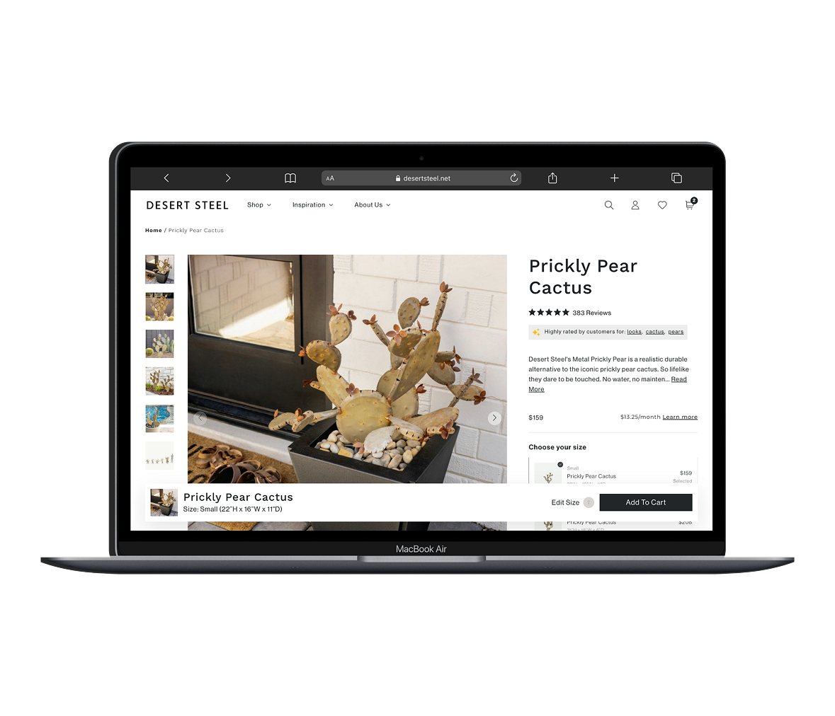 Desert Steel Shopify product page