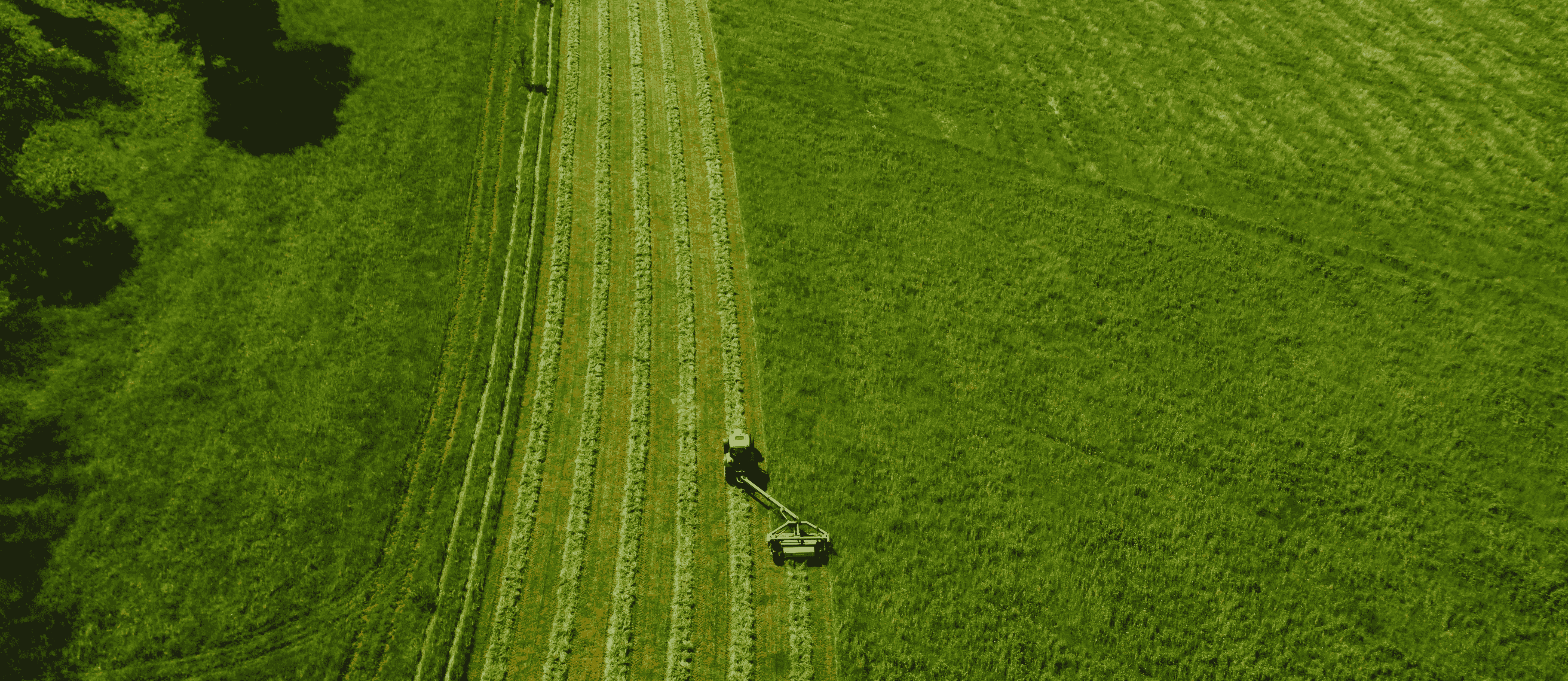 Aerial shot of a green field