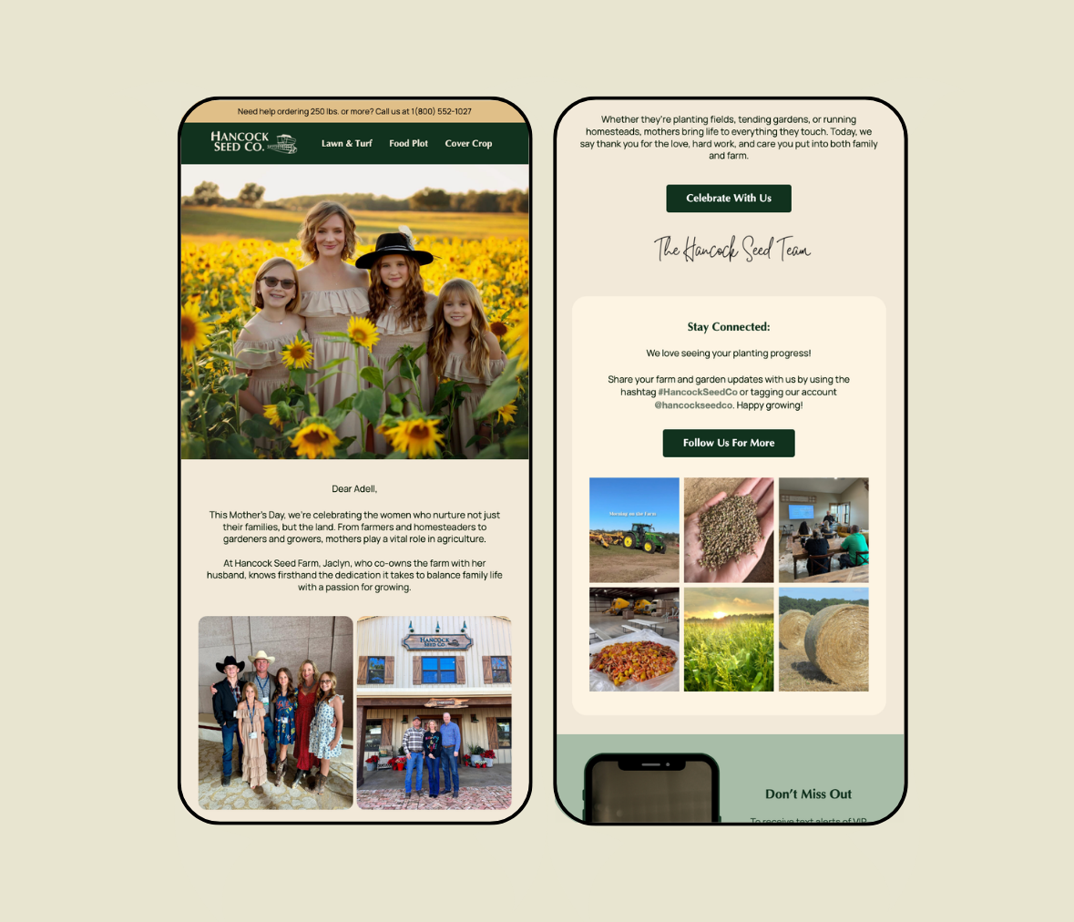 Hancock Seed newsletter on mobile